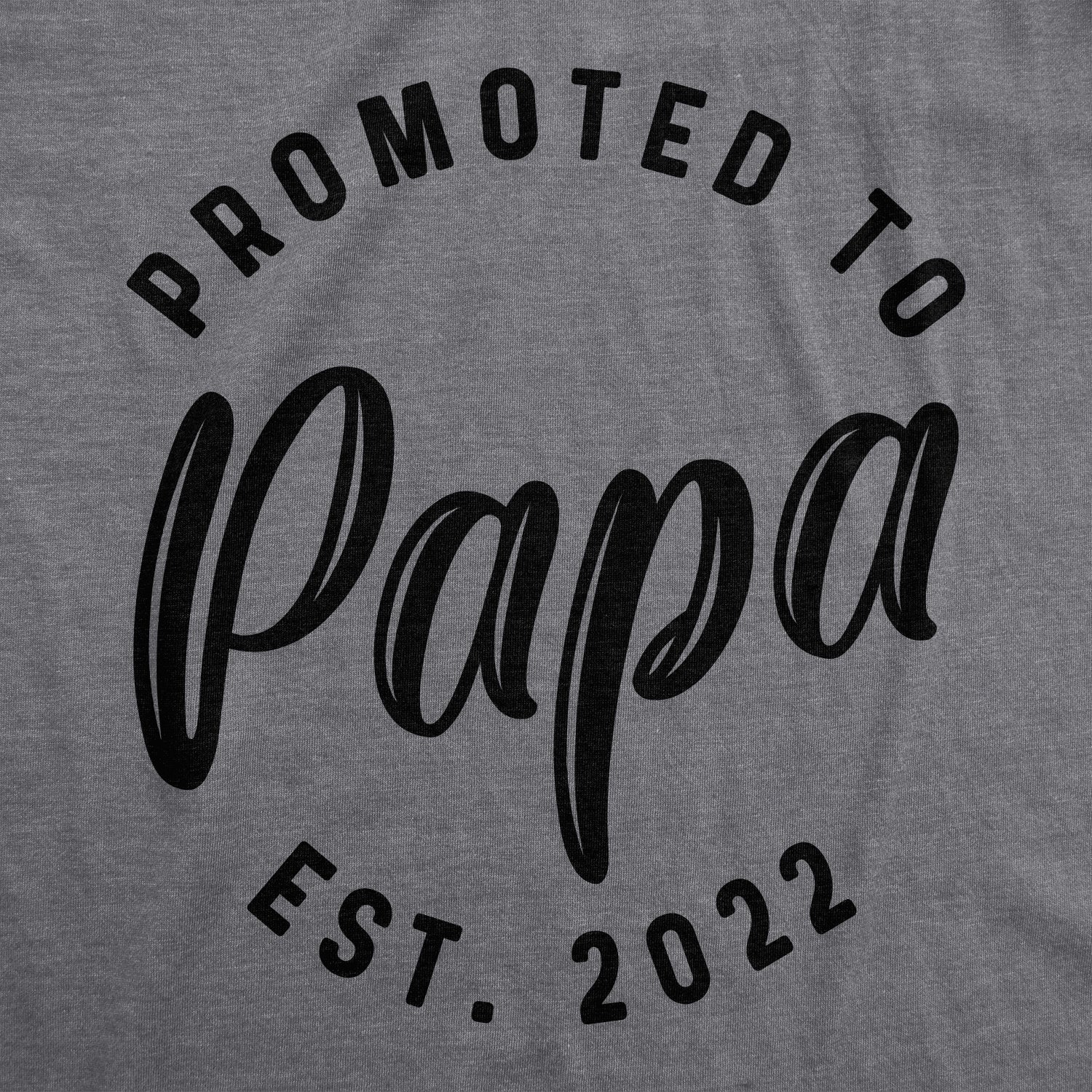Funny Dark Heather Grey - 2022 Promoted To Papa 2022 Mens T Shirt Nerdy Grandfather Tee