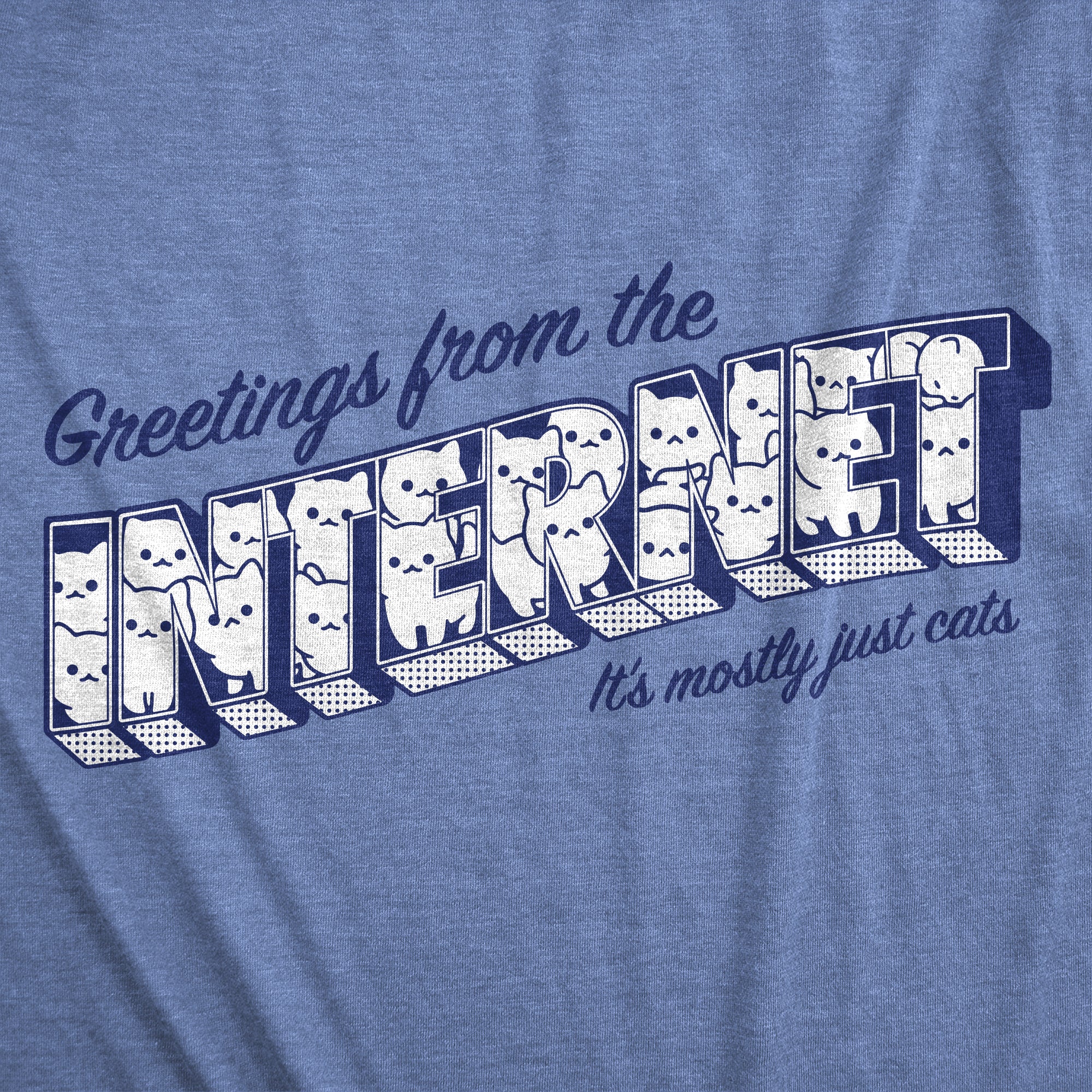 Funny Light Heather Blue - Greetings From The Internet Greetings From The Internet Its Mostly Cats Womens T Shirt Nerdy Cat internet Tee
