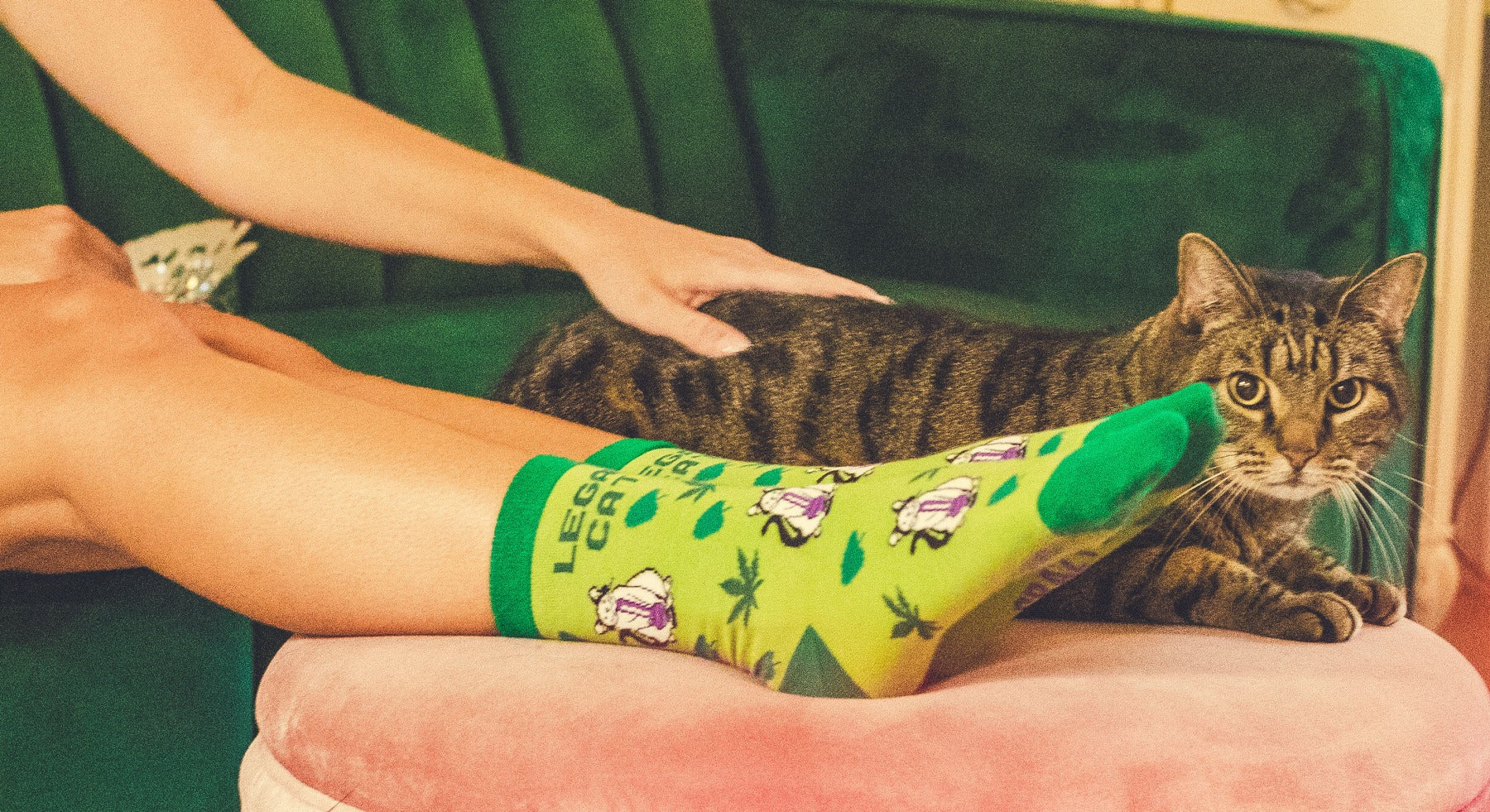 Funny Green Womens Legalize Catnip Sock Nerdy 420 Cat Tee