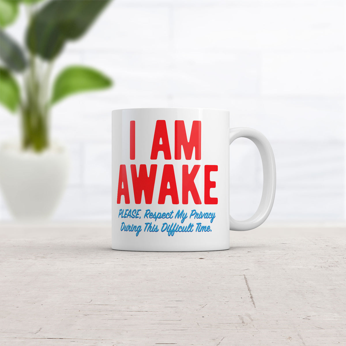 I Am Awake Please Respect My Privacy During This Difficult Time Mug