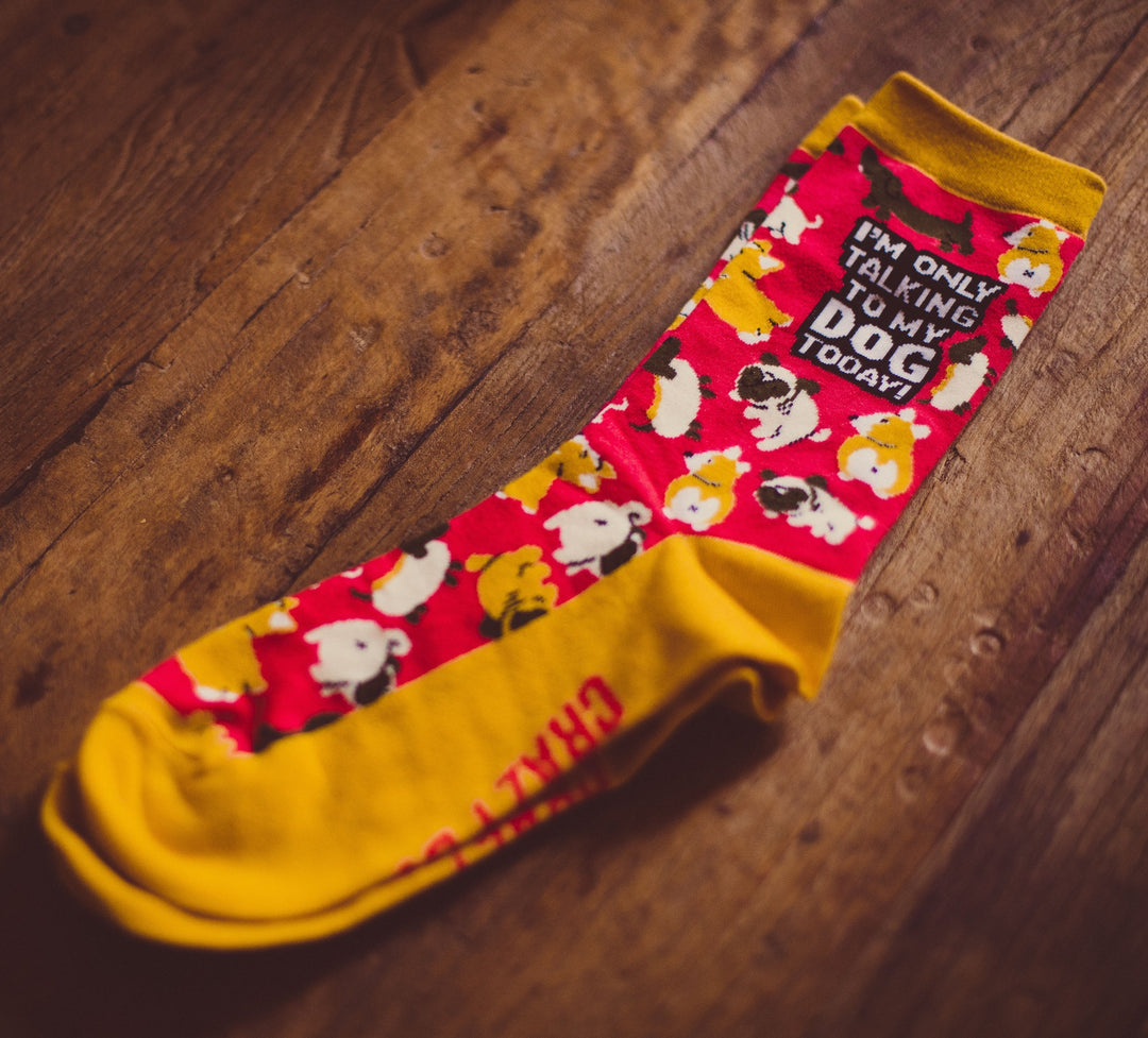 Womens I'm Only Talking To My Dog Today Socks