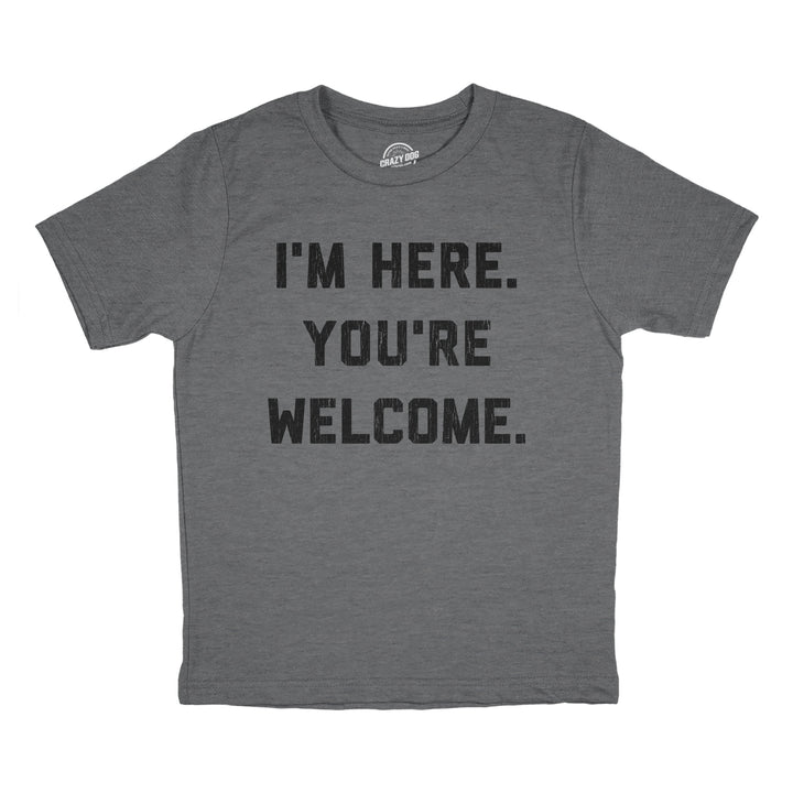 Funny Dark Heather Grey - WELCOME Im Here Youre Welcome Youth T Shirt Nerdy Sarcastic Tee