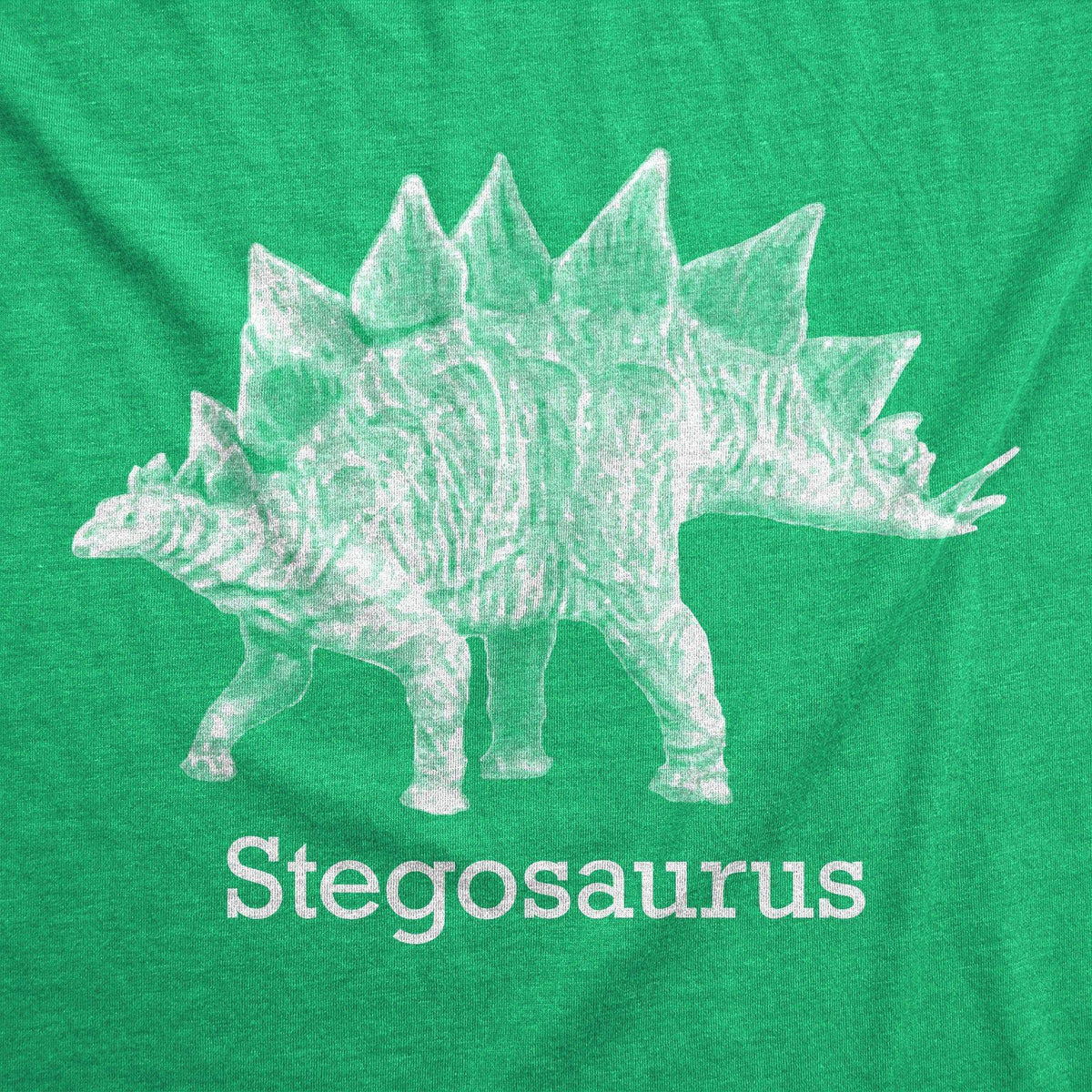 Stegosaurus Men&#39;s Tshirt  -  Crazy Dog T-Shirts