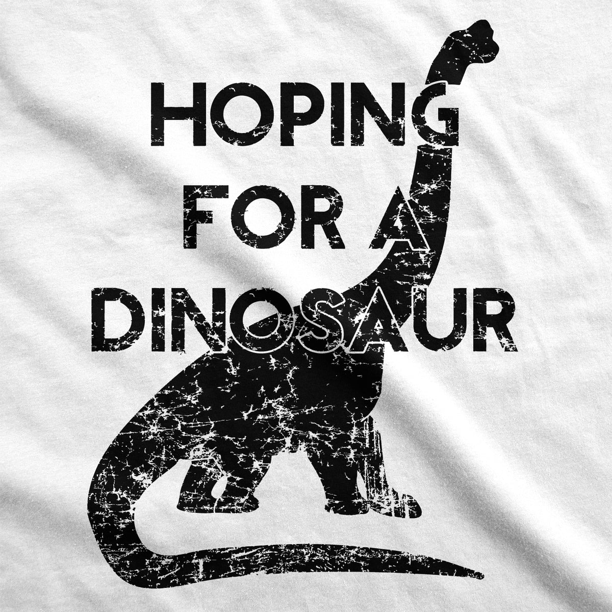 Hoping For A Dinosaur Maternity Tshirt
