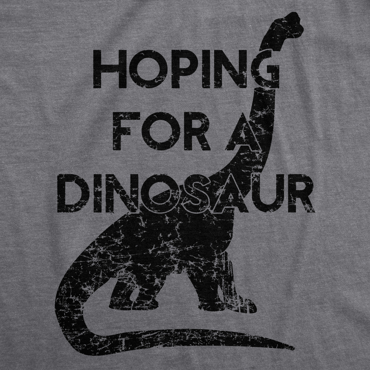 Hoping For A Dinosaur Maternity T Shirt