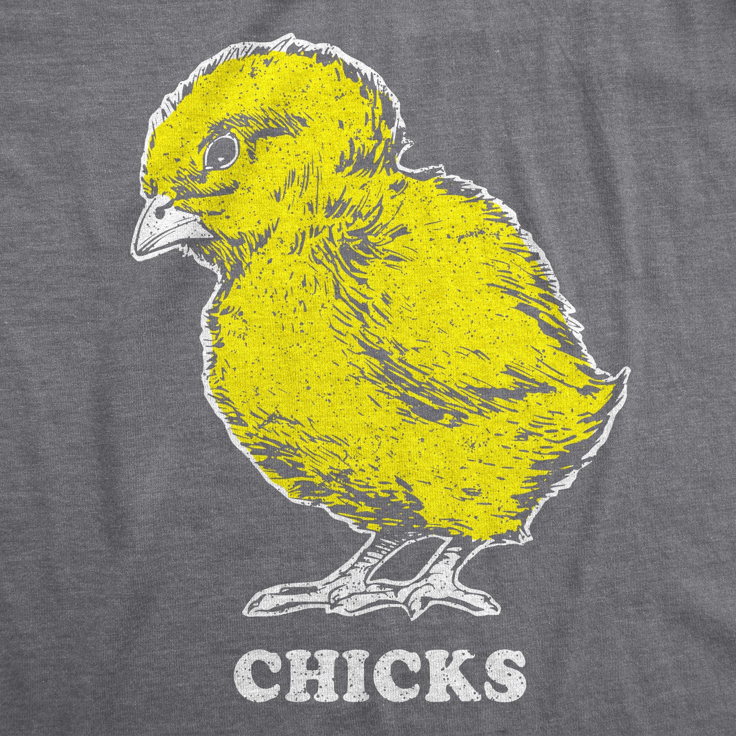 Funny Dark Heather Grey Vintage Chicks Womens T Shirt Nerdy Easter Retro Tee