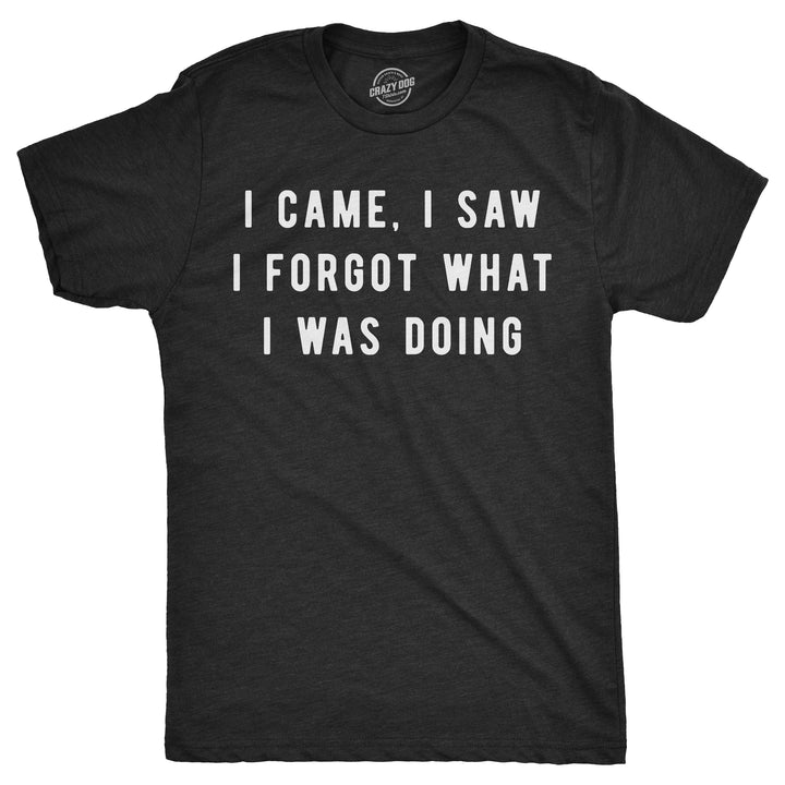 Funny Heather Black I Came, I Saw I Forgot What I Was Doing Mens T Shirt Nerdy Tee