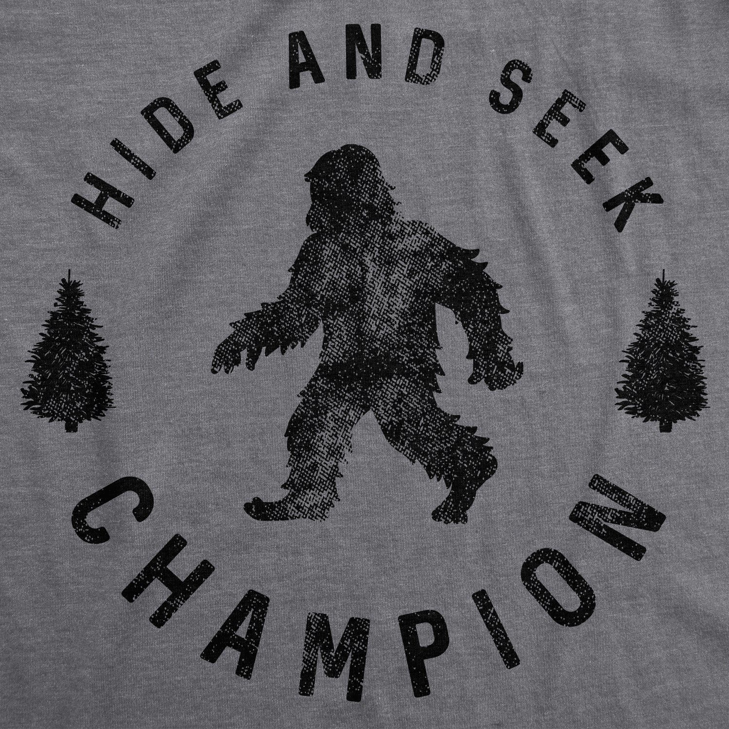 Funny Dark Heather Grey - Hide and Seek Hide And Seek Champion Womens T Shirt Nerdy Tee