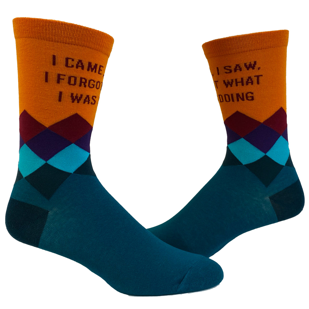 Funny Multi Womens I Came I Saw I Forgot What I Was Doing Sock Nerdy Introvert Tee
