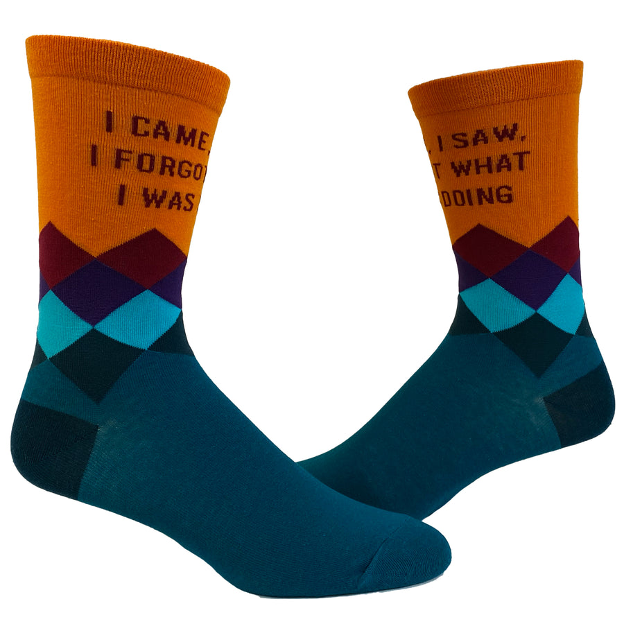 Funny Multi Womens I Came I Saw I Forgot What I Was Doing Sock Nerdy Introvert Tee