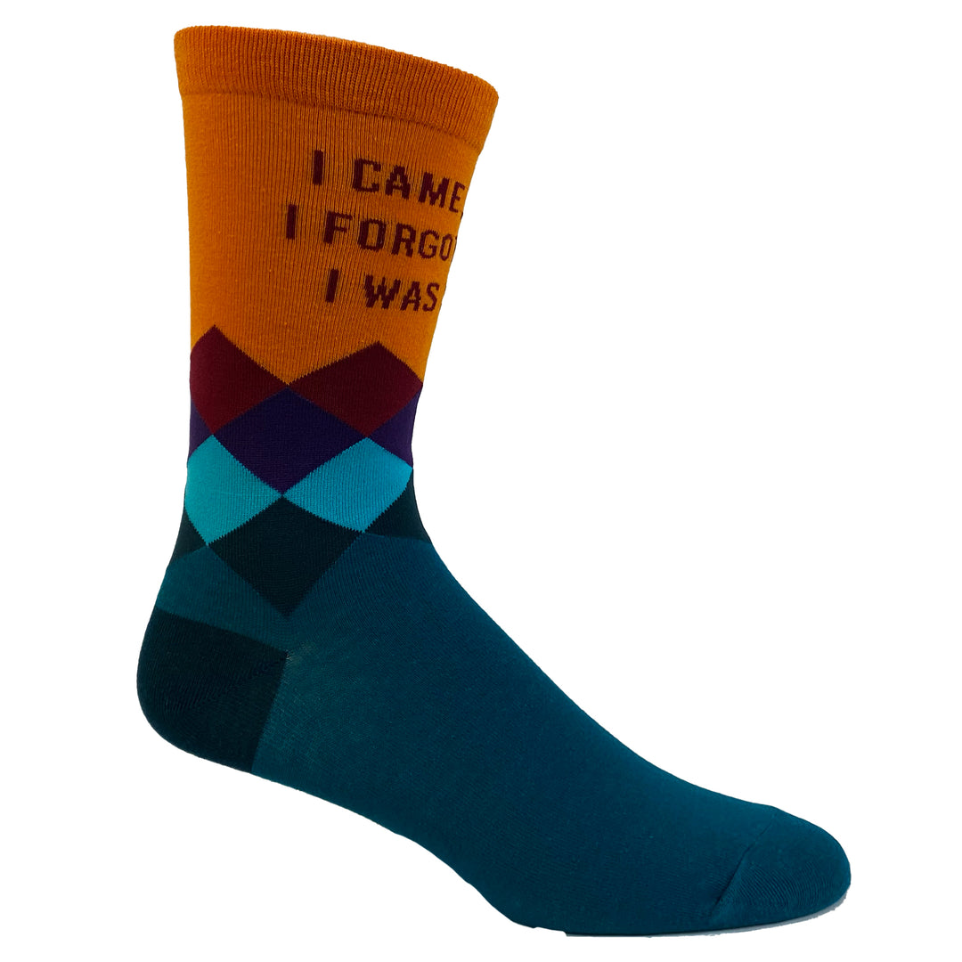 Womens I Came I Saw I Forgot What I Was Doing Socks