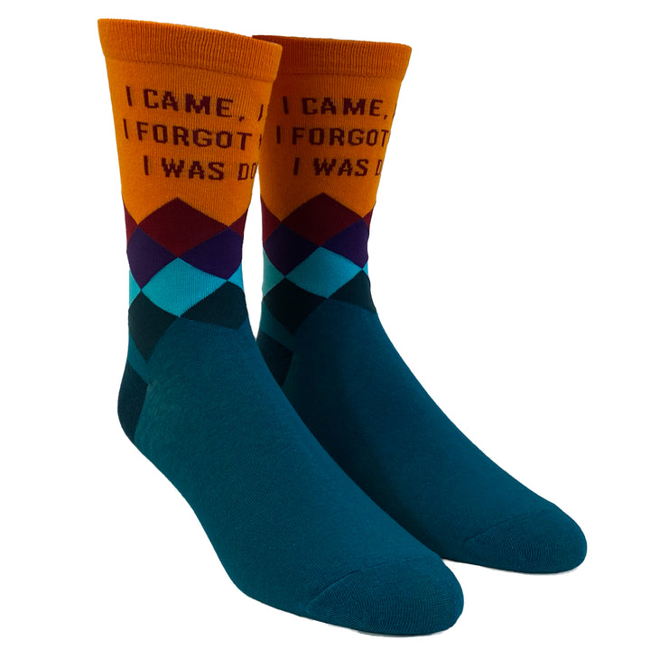 Womens I Came I Saw I Forgot What I Was Doing Socks