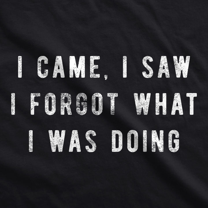 I Came I Saw I Forgot What I Was Doing Face Mask Mask