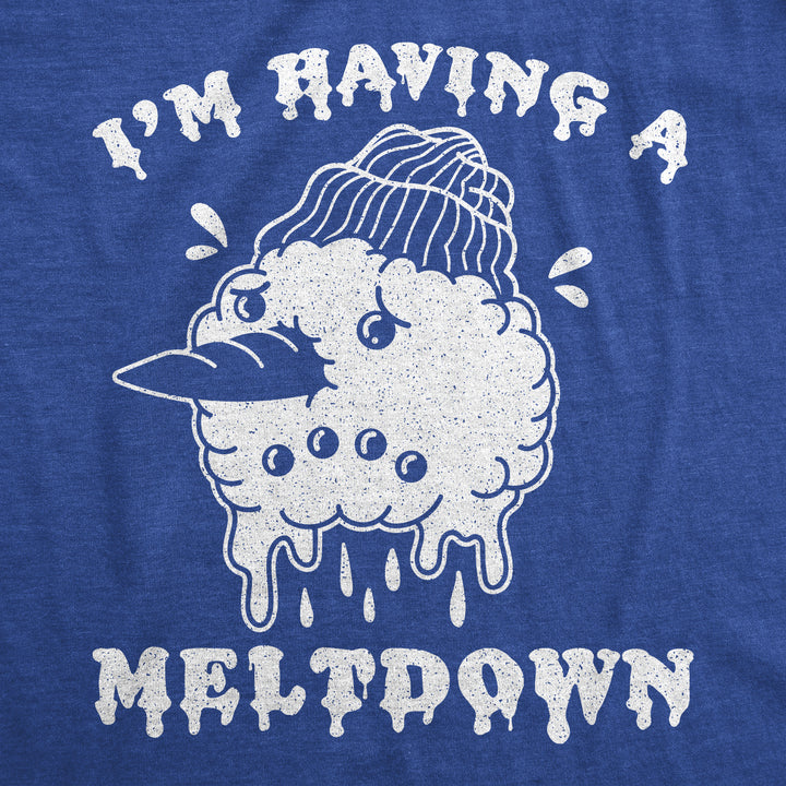 I'm Having A Meltdown Men's T Shirt