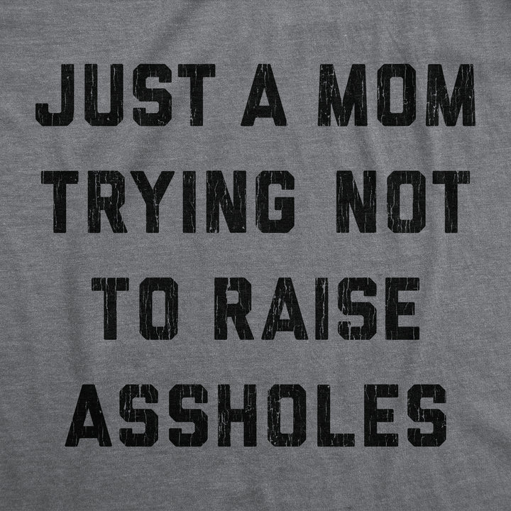 Just A Mom Trying Not To Raise Assholes Women's T Shirt