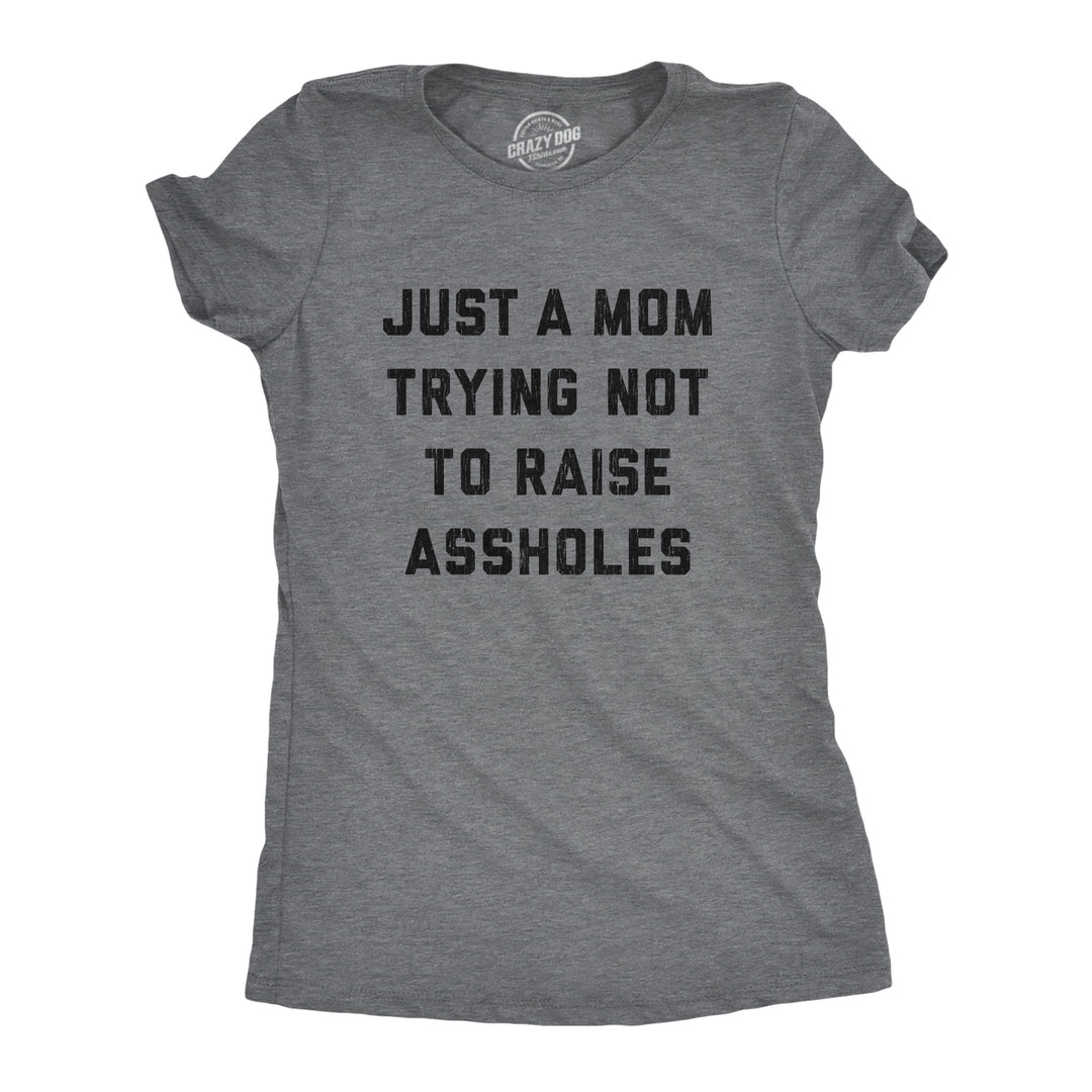 Funny Dark Heather Grey Just A Mom Trying Not To Raise Assholes Womens T Shirt Nerdy Sarcastic Tee
