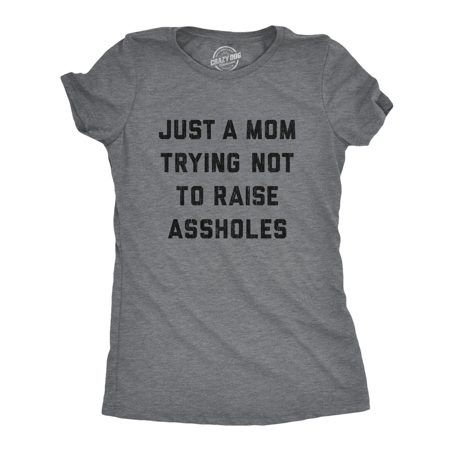 Funny Dark Heather Grey Just A Mom Trying Not To Raise Assholes Womens T Shirt Nerdy Sarcastic Tee