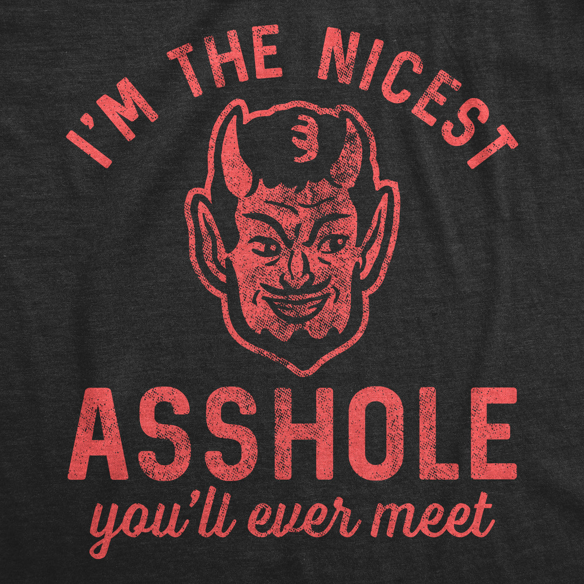 I&#39;m The Nicest Asshole You&#39;ll Ever Meet Men&#39;s T Shirt