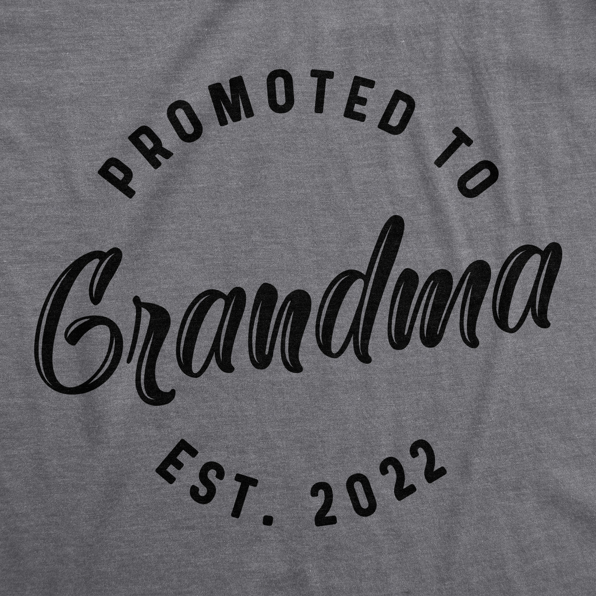 Promoted To Grandma 20XX Women&#39;s T Shirt
