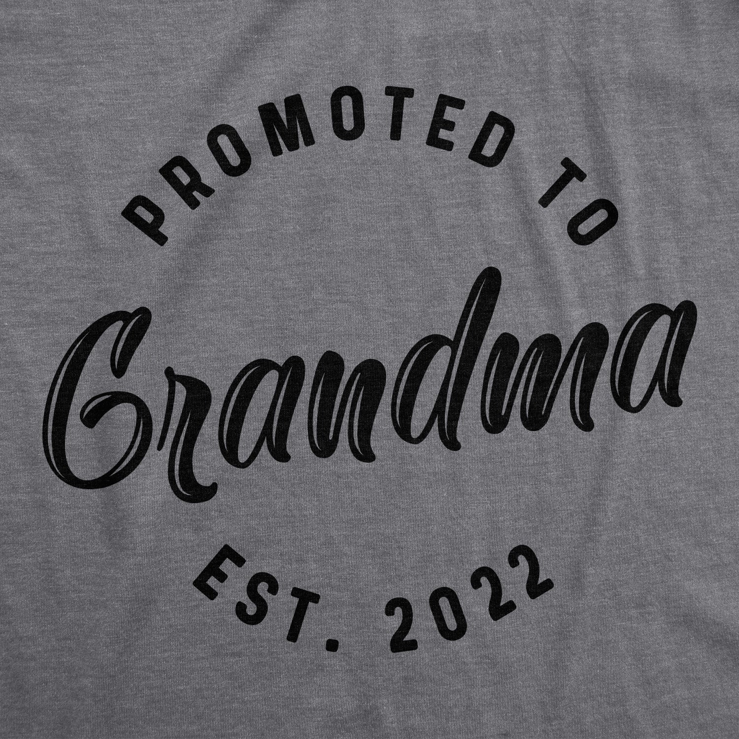 Funny Dark Heather Grey Promoted To Grandma 20XX Womens T Shirt Nerdy Grandmother Tee