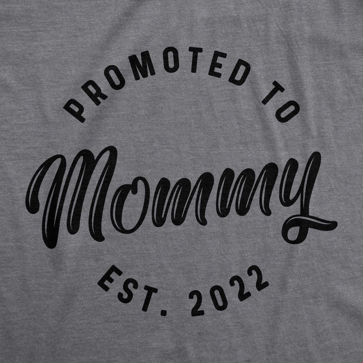 Promoted To Mommy 20XX Women&#39;s Tshirt