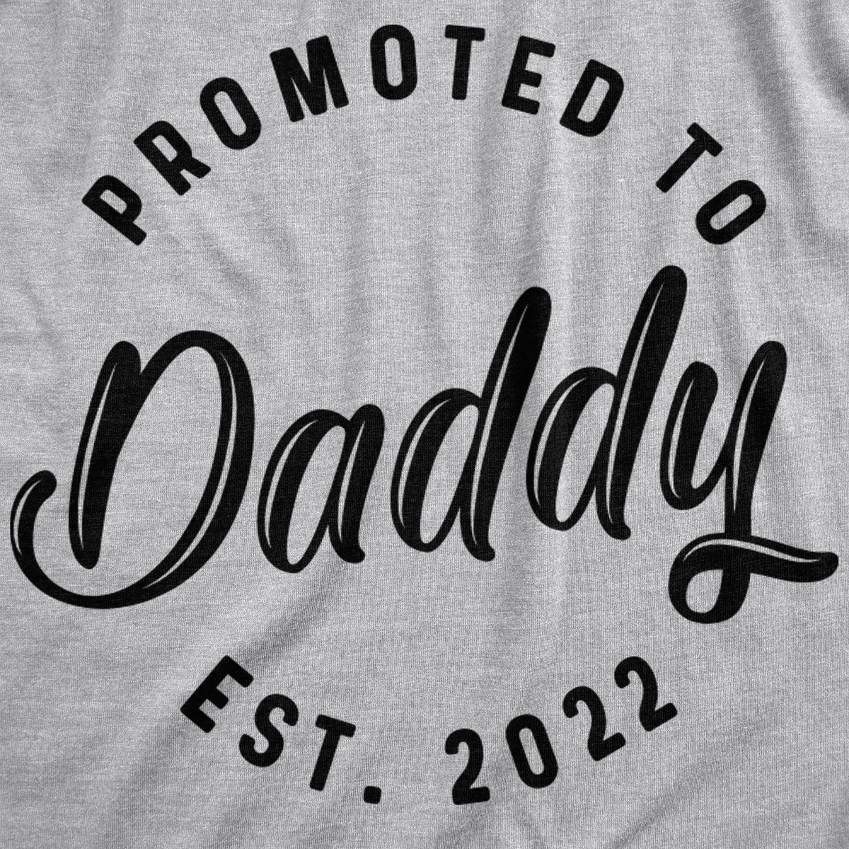 Promoted To Daddy 2022 Hoodie