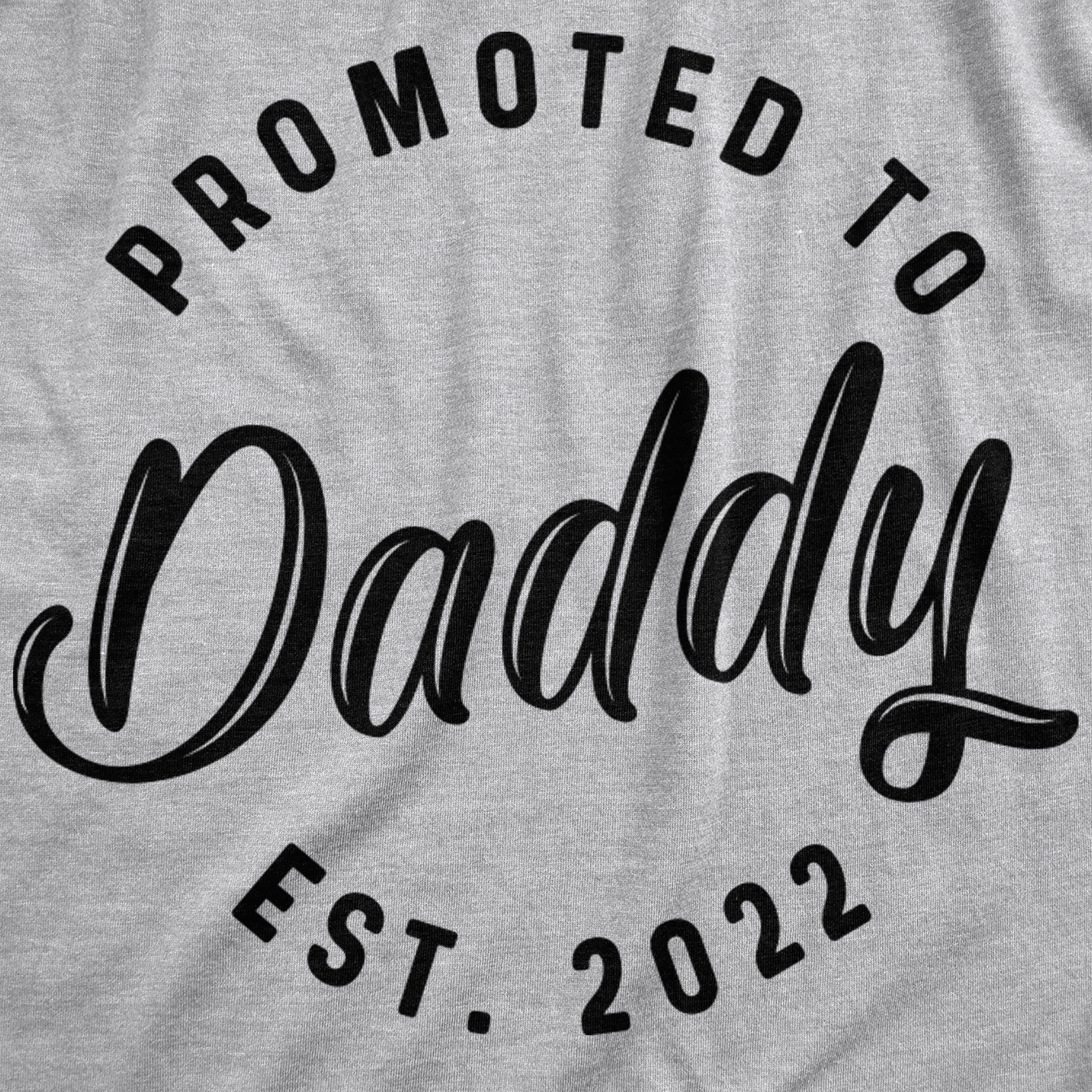 Funny Grey - DADDY Promoted To Daddy 2022 Hoodie Nerdy Father's Day Tee