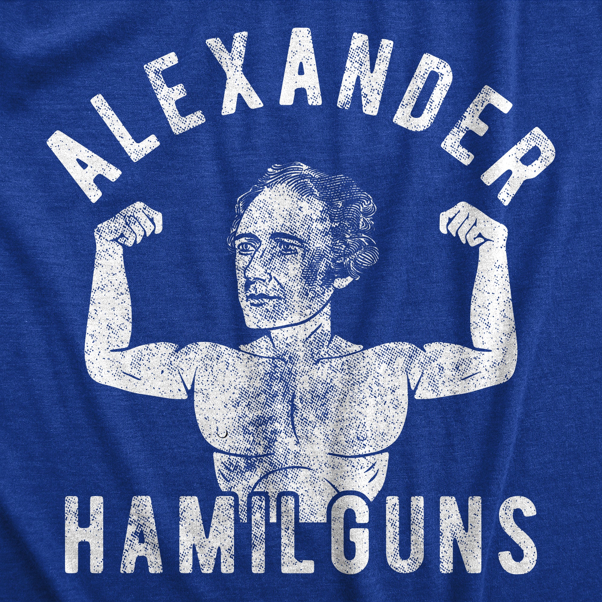 Funny Heather Royal Alexander Hamilguns Mens T Shirt Nerdy Fourth Of July Sarcastic Tee