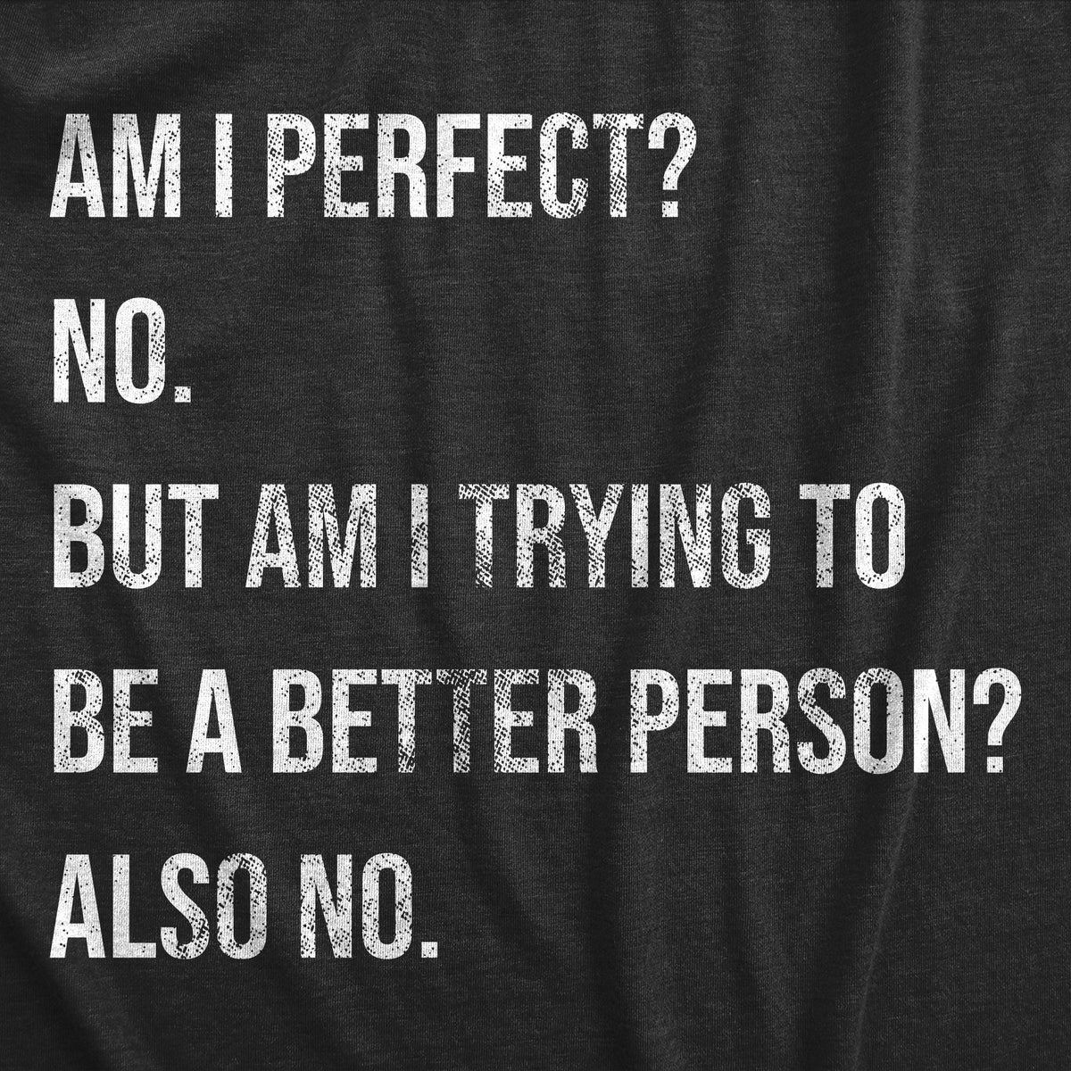 Am I Perfect No Men&#39;s T Shirt
