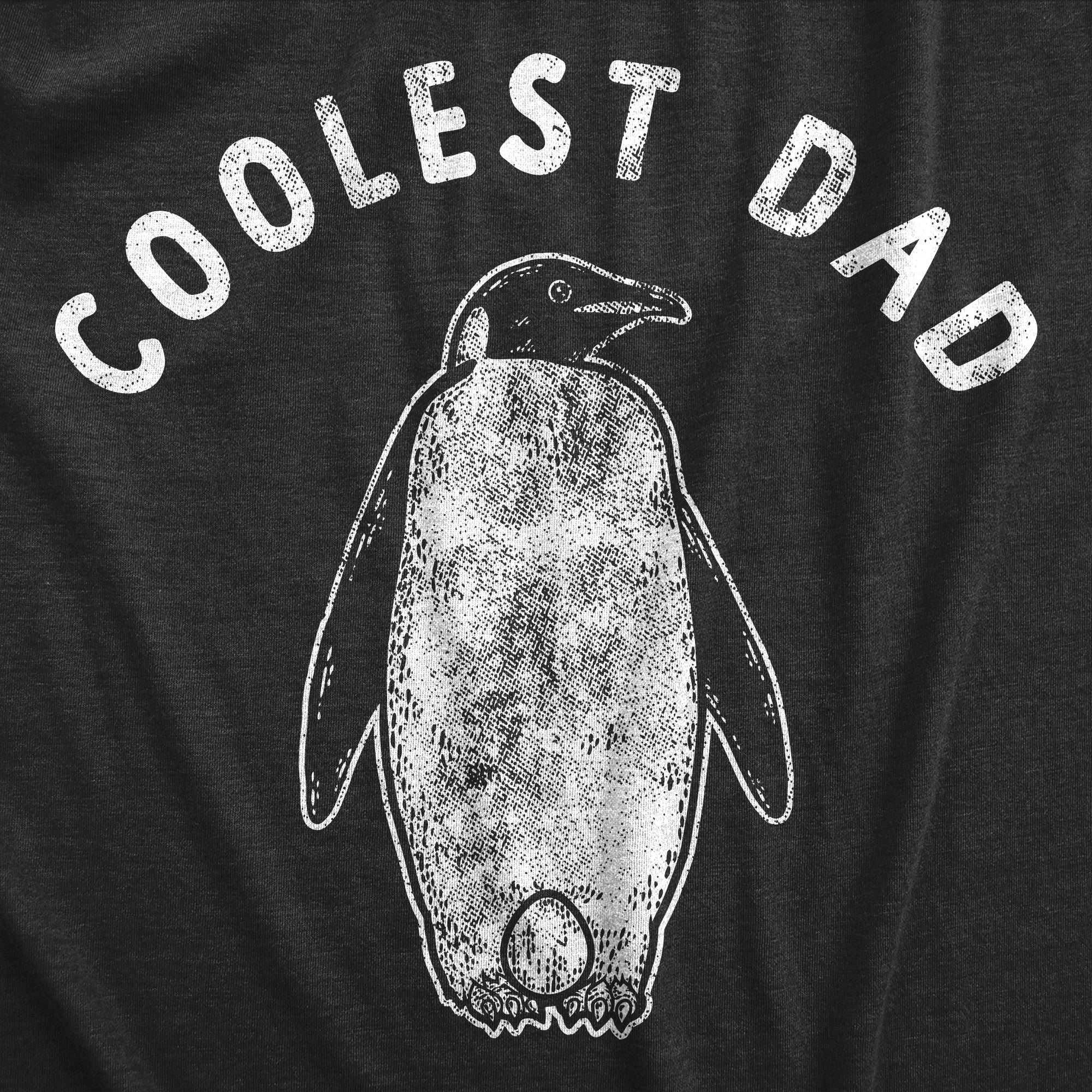 Funny Heather Black - Coolest Dad Coolest Dad Mens T Shirt Nerdy Father's Day Sarcastic Tee