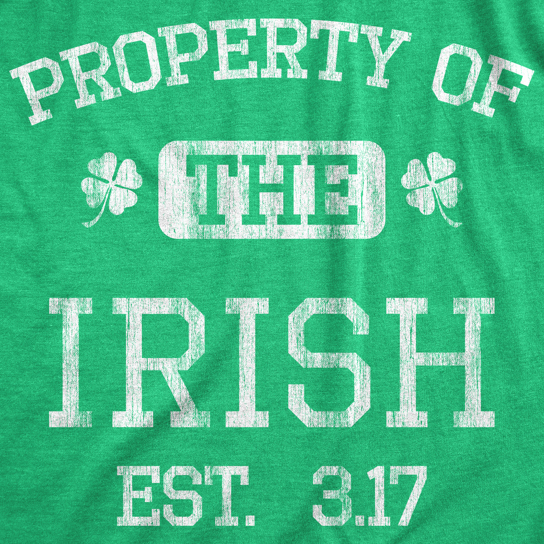 Property Of The Irish Men's T Shirt