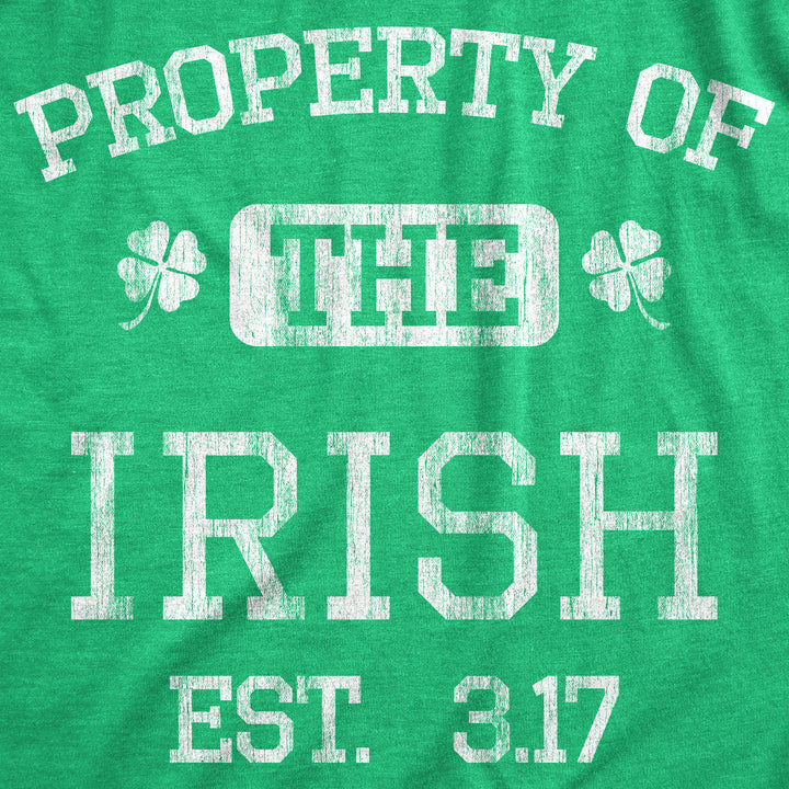 Property Of The Irish Men's T Shirt