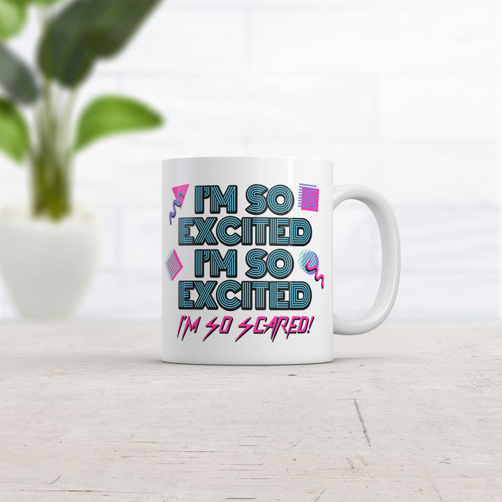 I'm So Excited I'm So Scared Mug Funny Sarcastic Thrilled Panicking Graphic Novelty Coffee Cup-11oz