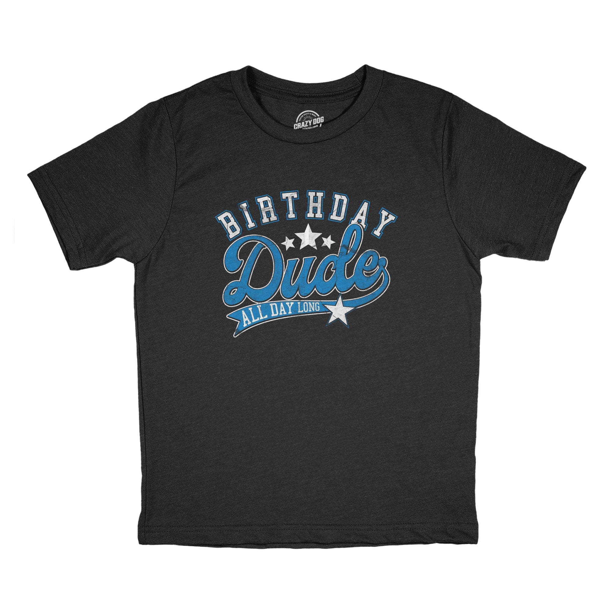 Funny Heather Black - BIRTHDAY Birthday Dude All Day Long Youth T Shirt Nerdy Sarcastic Tee