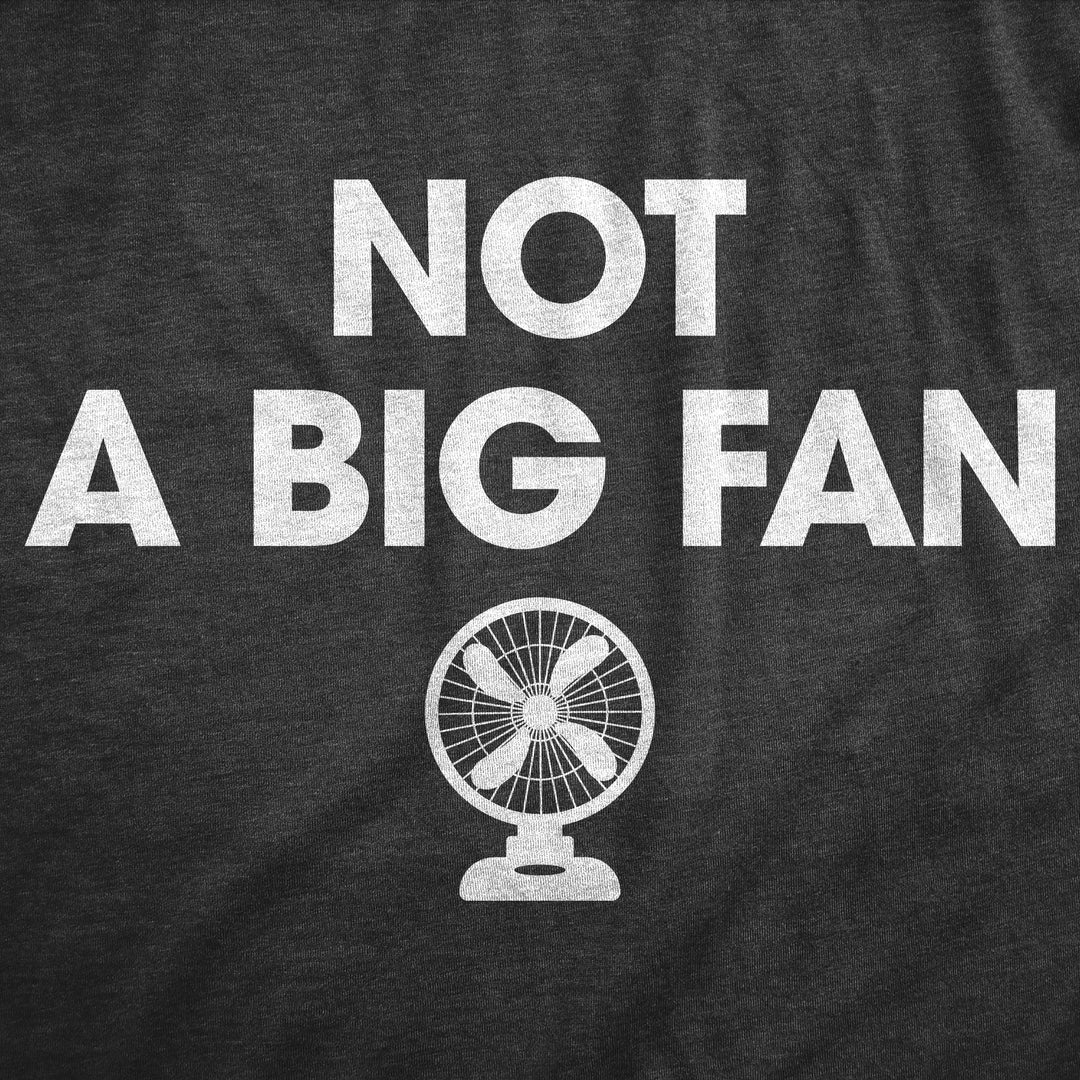 Not A Big Fan Men's T Shirt