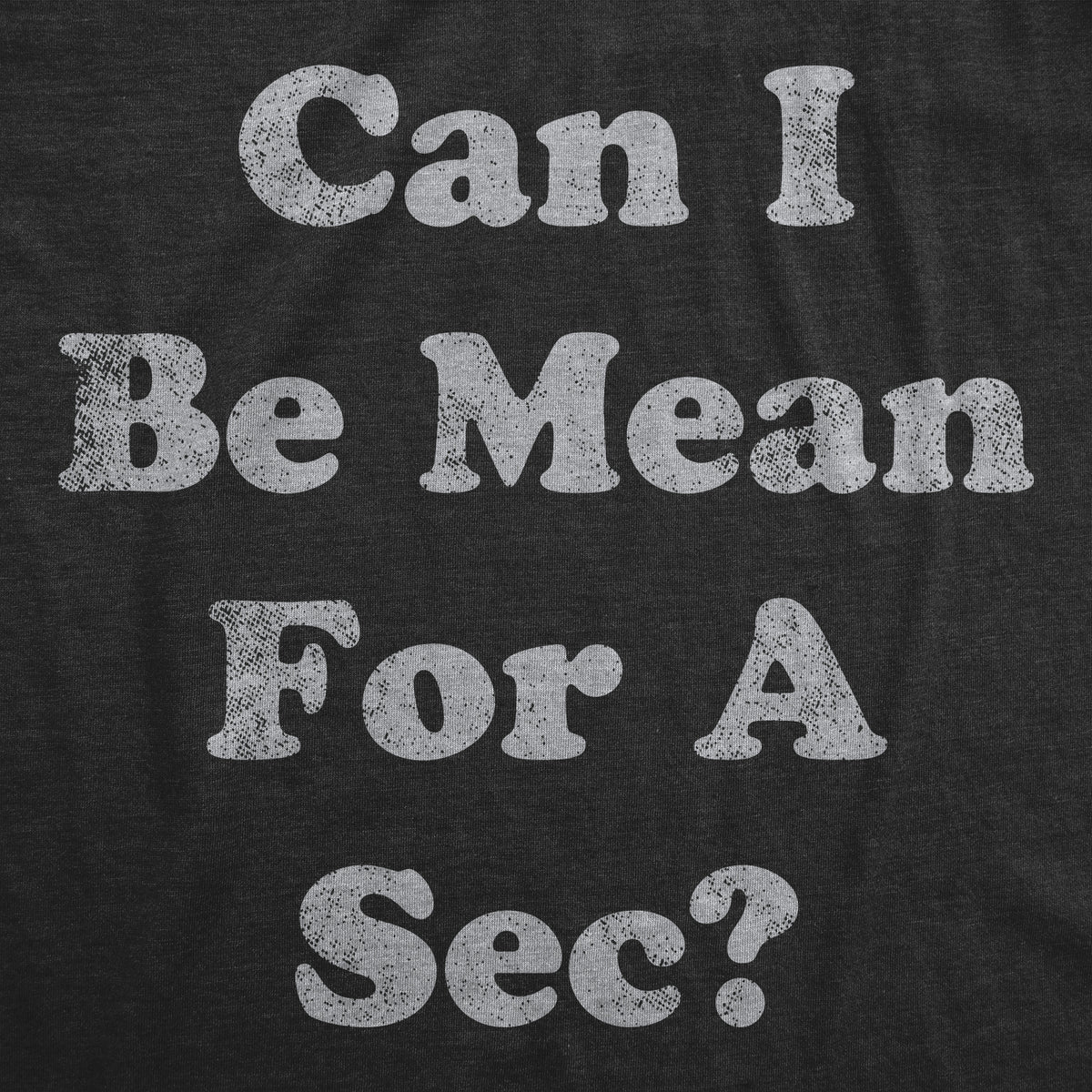 Can I Be Mean For A Sec Women&#39;s T Shirt