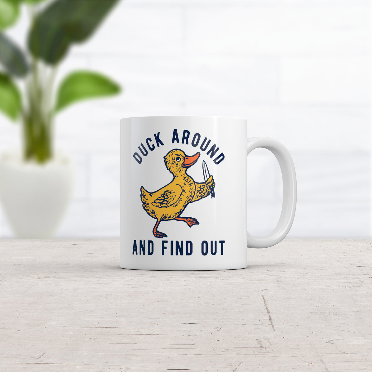 Duck Around And Find Out Mug