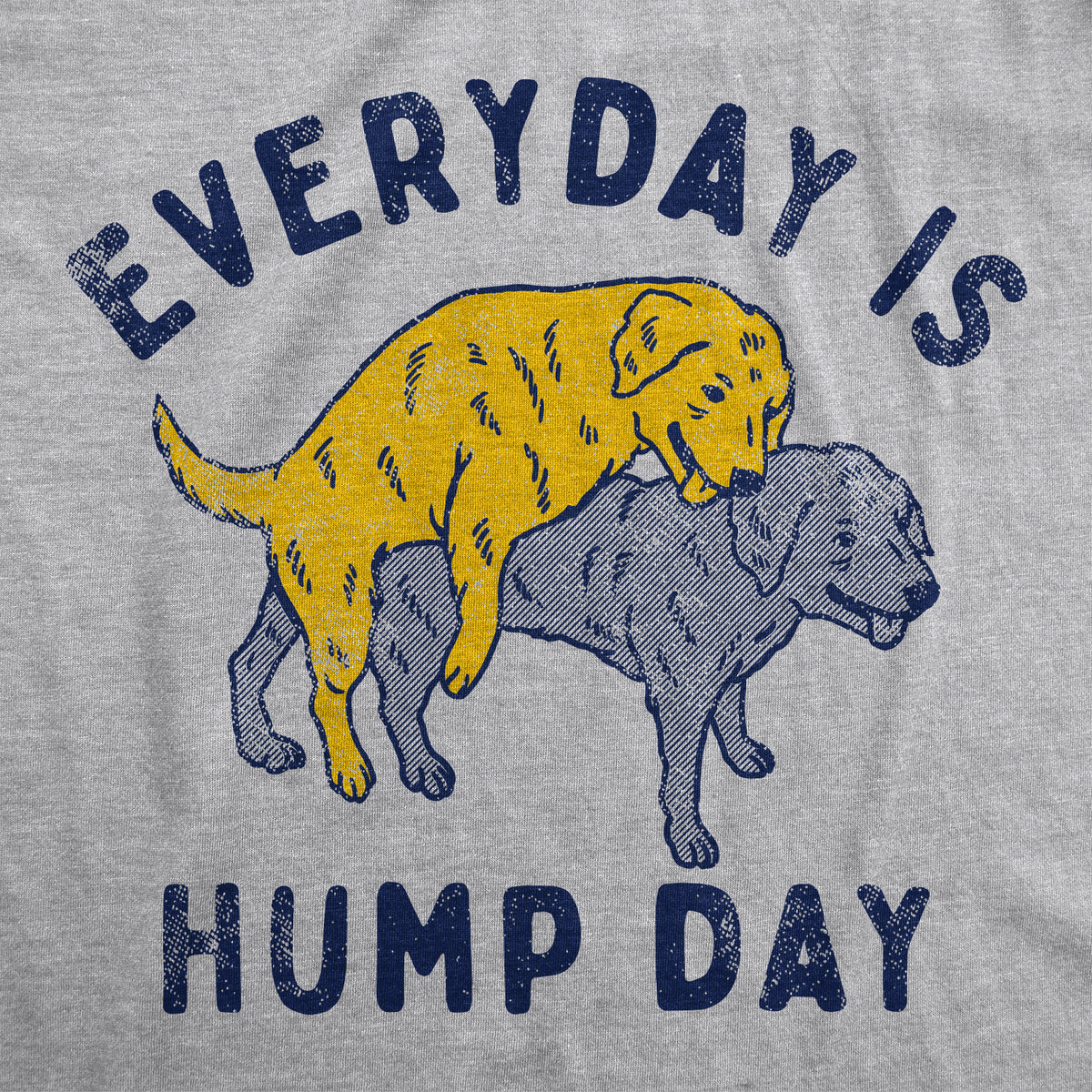 Everyday Is Hump Day Women&#39;s T Shirt