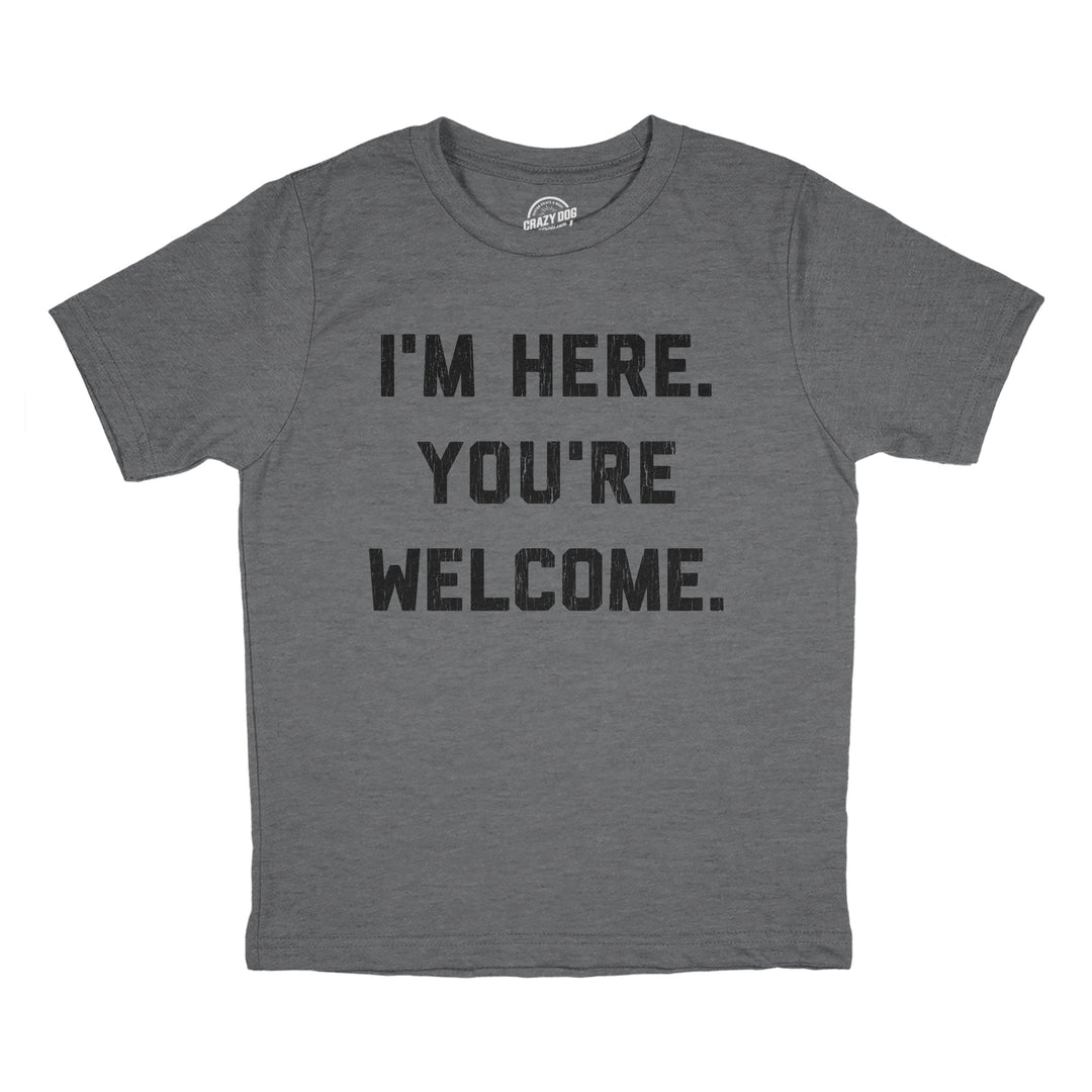 Funny Dark Heather Grey - WELCOME Im Here Youre Welcome Youth T Shirt Nerdy Sarcastic Tee
