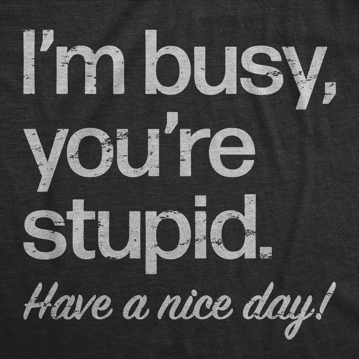 Im Busy Youre Stupid Have A Nice Day Women&#39;s T Shirt
