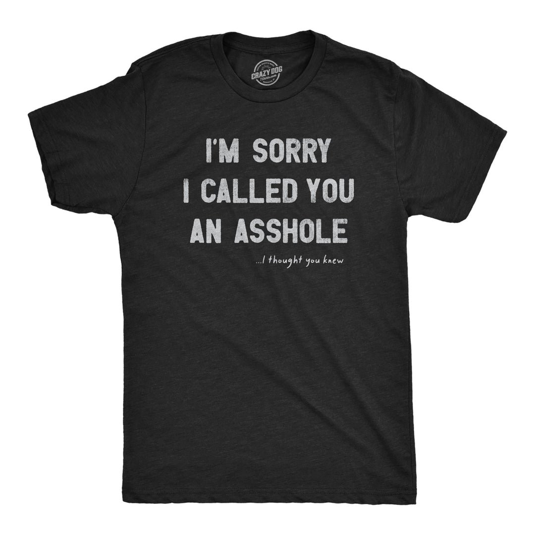Funny Heather Black - ASSHOLE Im Sorry I Called You An Asshole Mens T Shirt Nerdy Sarcastic Tee