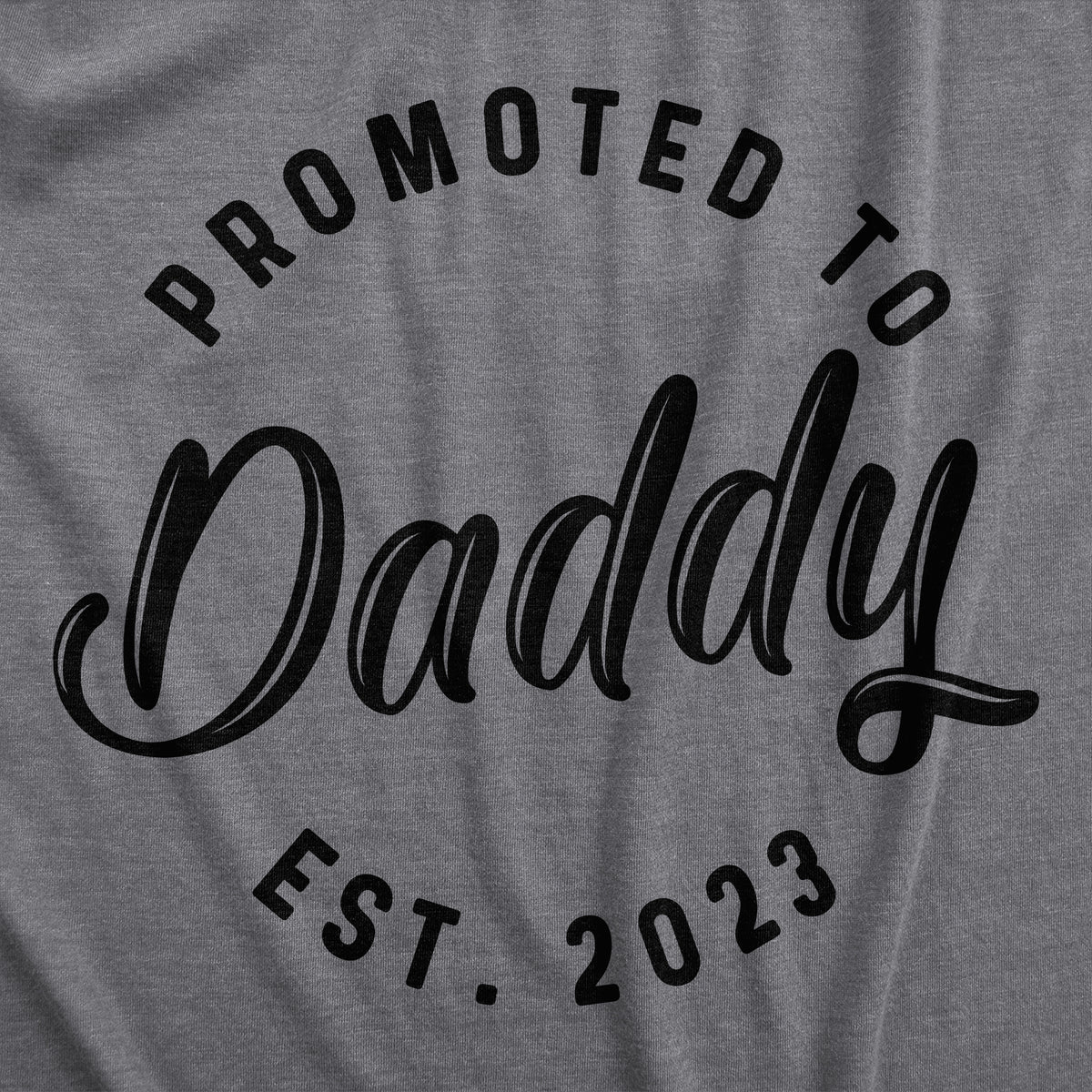 Promoted To Daddy 2022 Hoodie
