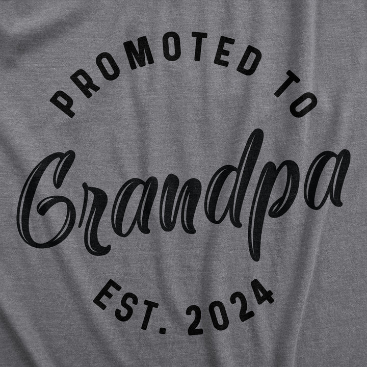 Mens Promoted To Grandpa 2024 T Shirt Funny New Baby Family Graphic Tee (Dark Heather Grey - 2024) - 3XL