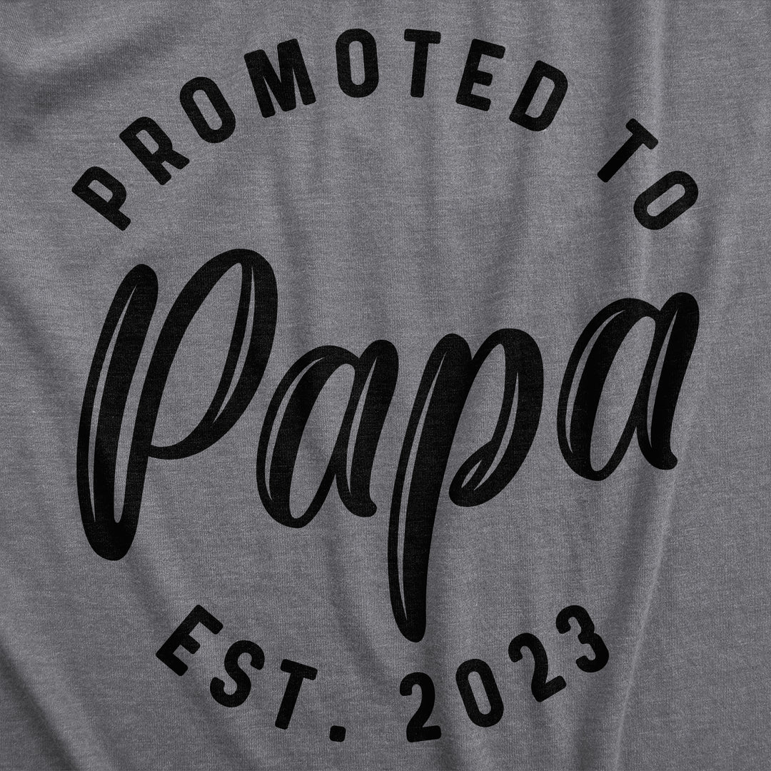 Promoted To Papa 2023