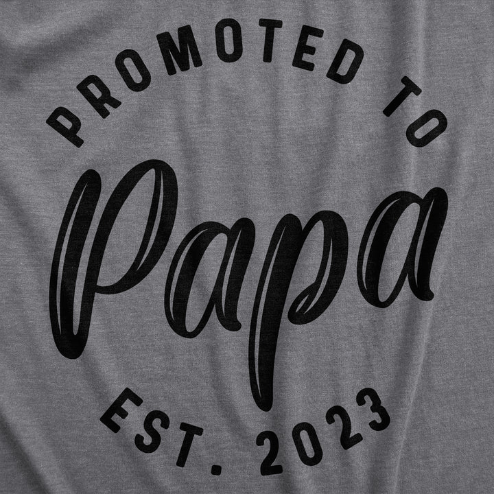 Promoted To Papa 2023