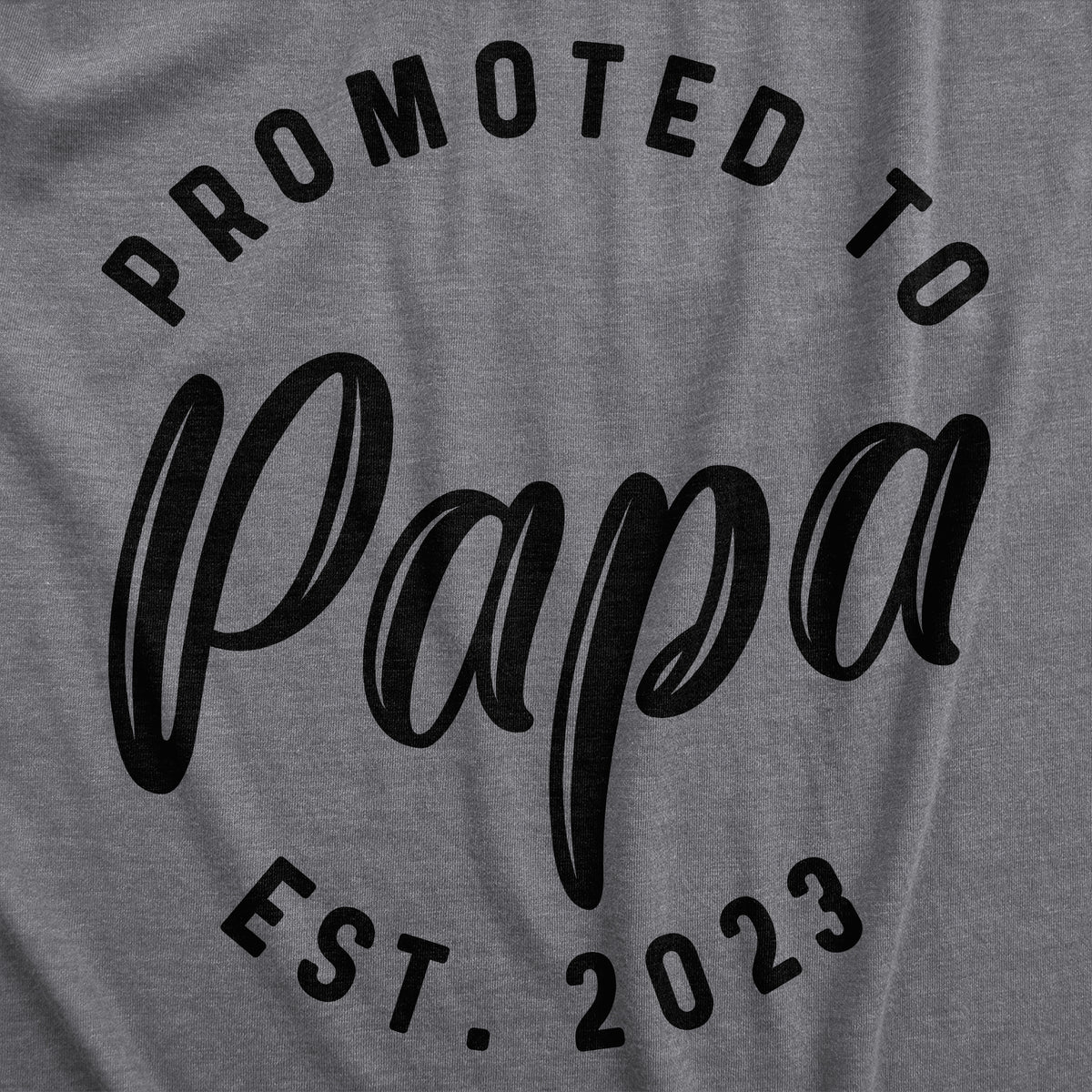 Promoted To Papa 2022 Men&#39;s T Shirt