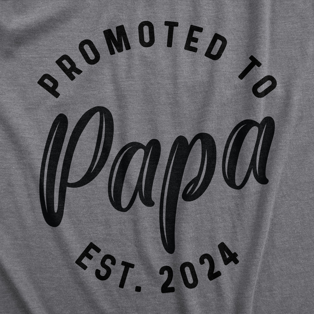 Promoted To Papa 2024