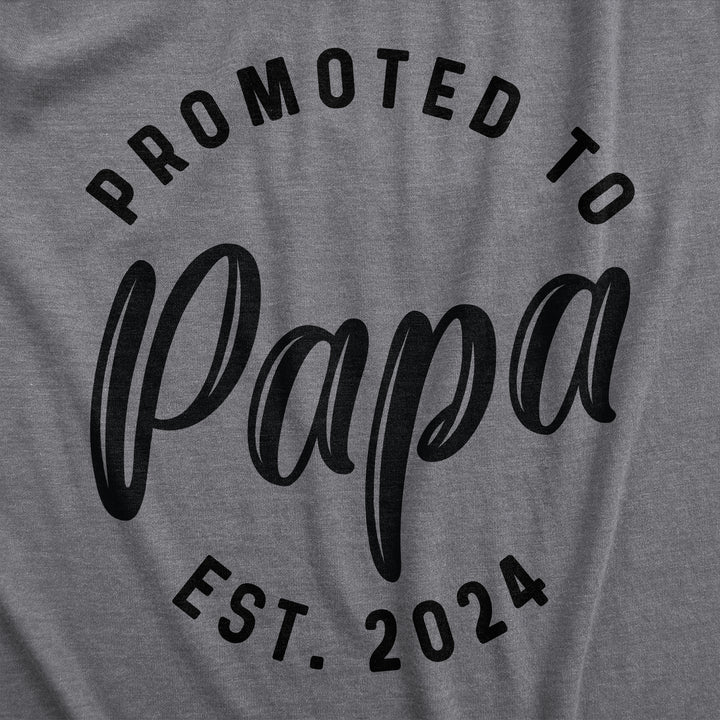 Promoted To Papa 2024