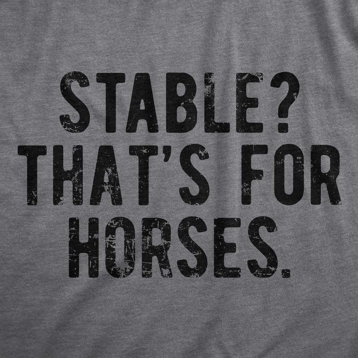 Stable Thats For Horses Women&#39;s Tshirt