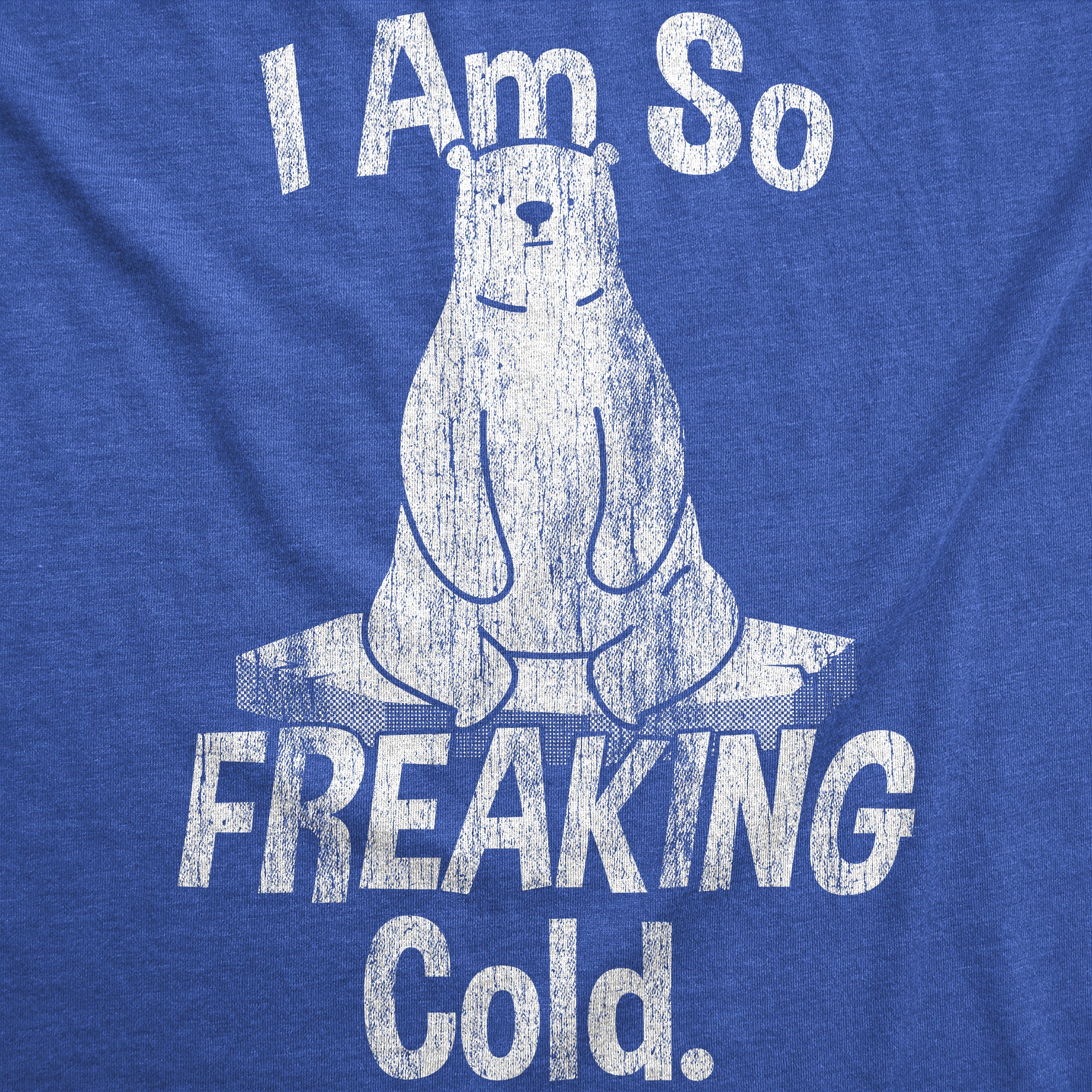 Funny Heather Royal - I Am So Freaking Cold I Am So Freaking Cold Womens T Shirt Nerdy sarcastic Tee